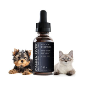 オイル 犬猫用ペットフード CBD200mg 内容量60mlの製品画像