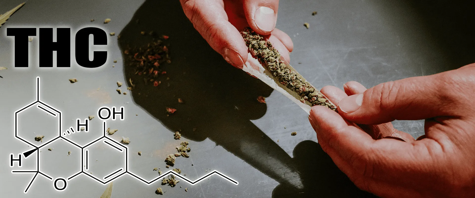 CBD と THC: 化学構造