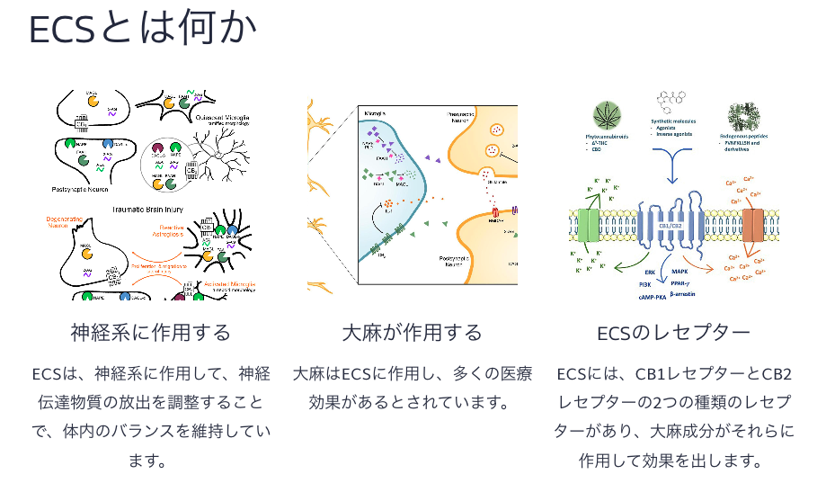 ECSとはなにか