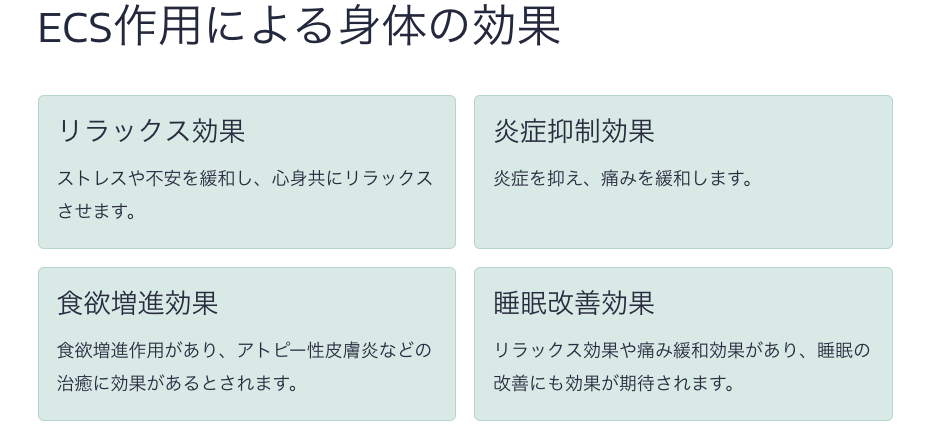 ECS作用による身体の効果