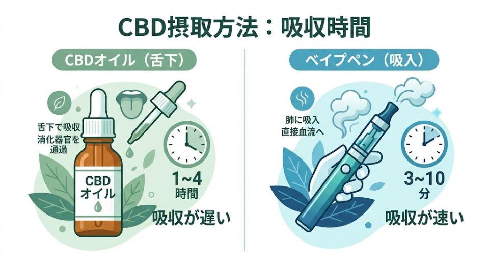 CBDオイル舌下摂取とVAPE吸入の比較